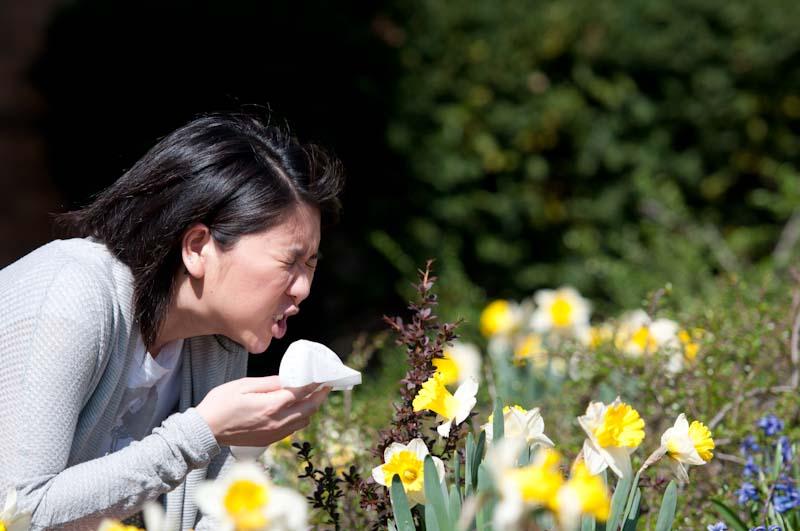 Illustration for article titled Shooting Challenge: Spring Part 3